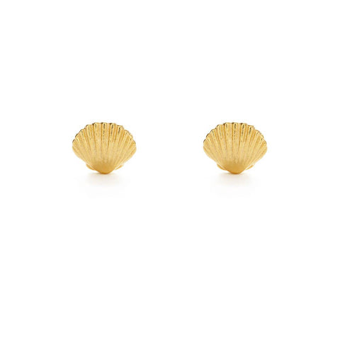 Tiny Shell Stud Earrings Tiny Shell Stud Earrings