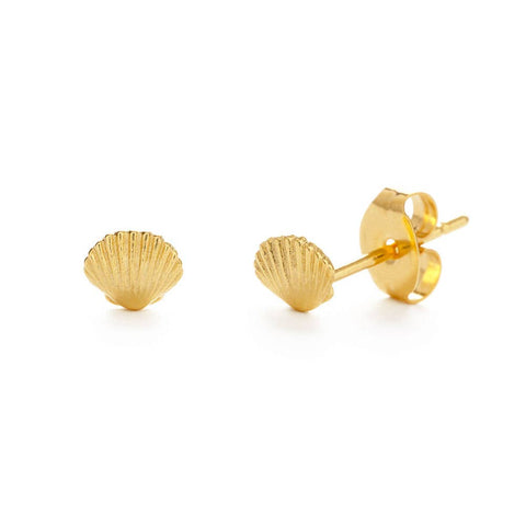Tiny Shell Stud Earrings Tiny Shell Stud Earrings