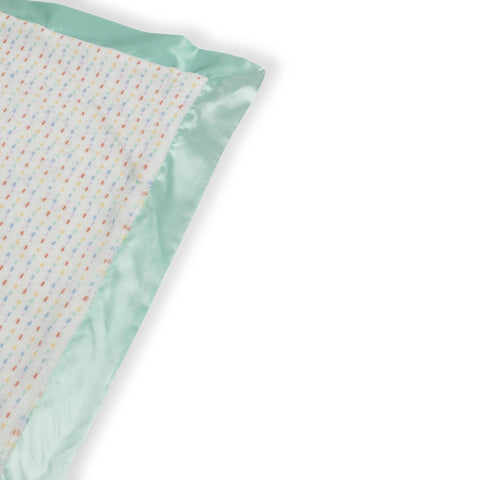 Reversible Baby Blanket  Love Bug